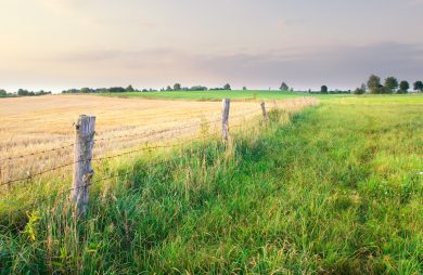 Prophesying over Land